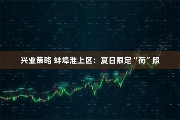 兴业策略 蚌埠淮上区：夏日限定“荷”照