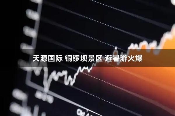 天源国际 铜锣坝景区 避暑游火爆